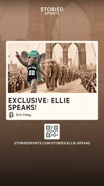 Story share image preview